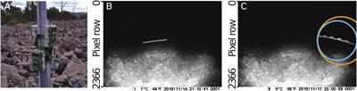 Camera-based automated monitoring of flying insects (Camfi). I. Field and computational methods